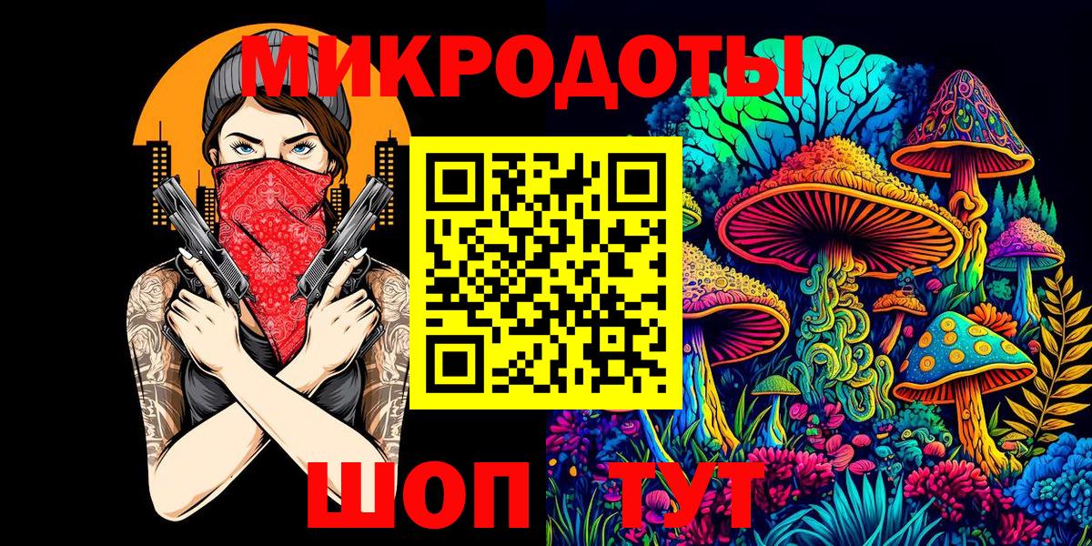 Галлюциногенные грибы Psilocybine cubensis  Вход с VPN  Галлюциногенные грибы мицелий  Реж 